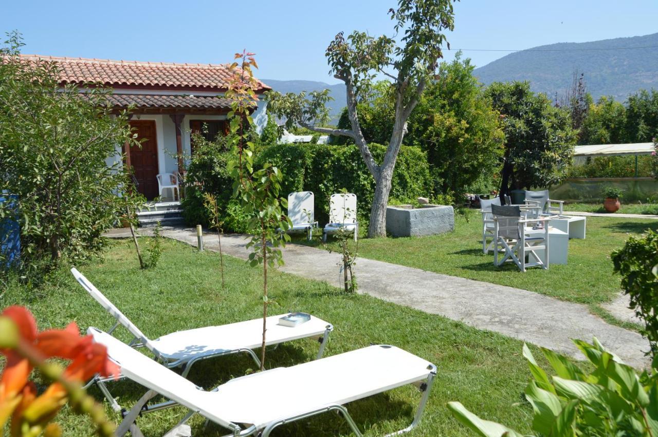 Mr. Greek Villa Петра Екстериор снимка