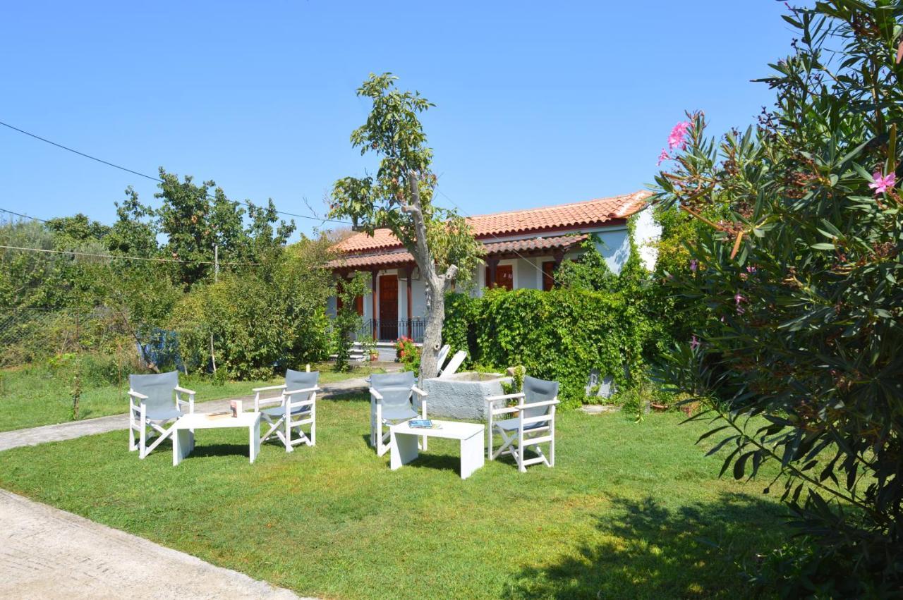 Mr. Greek Villa Петра Екстериор снимка